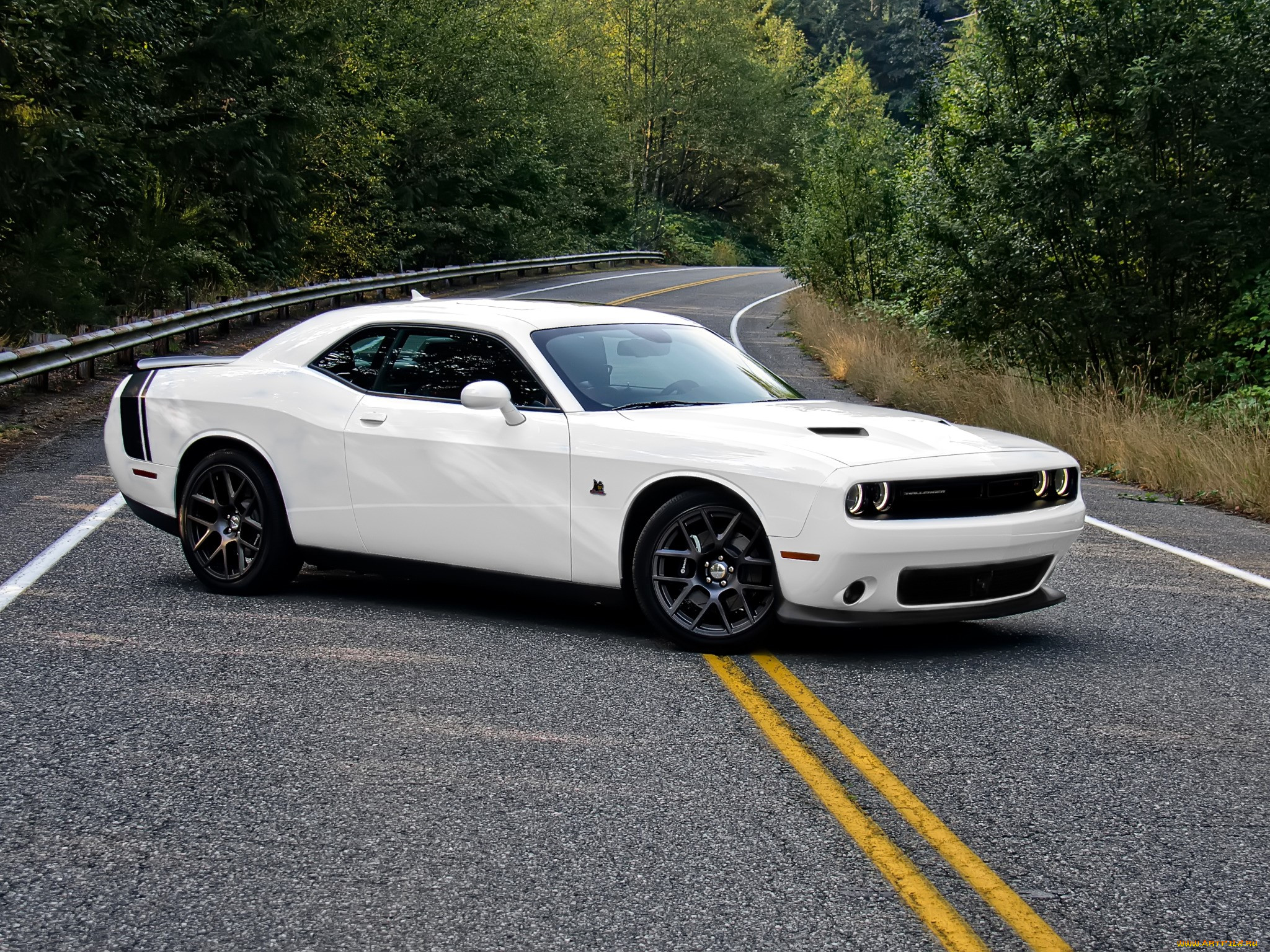 dodge challenger, , dodge, , , 